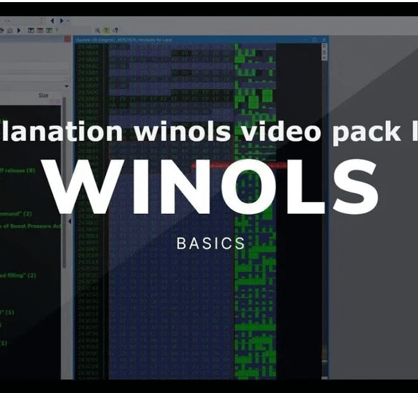 winols traning vedios